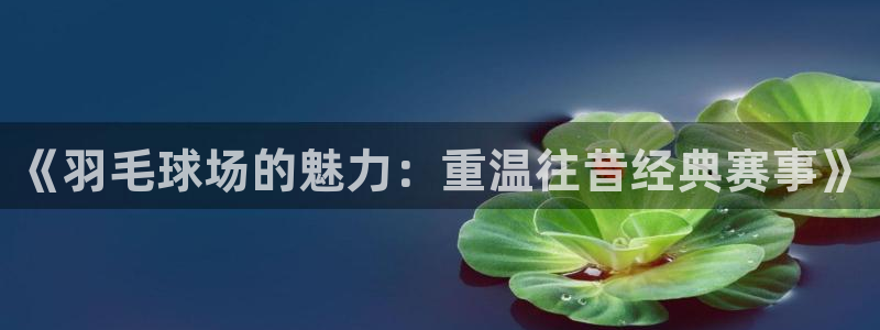 《羽毛球场的魅力：重温往昔经典赛事》