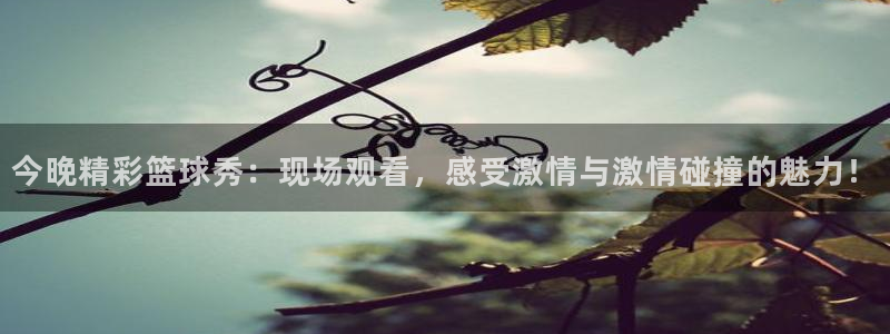 易游电玩怎么样：今晚精彩篮球秀：现场观看，感受激情与激情碰撞