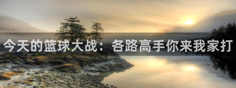 易游安卓APP：今天的篮球大战：各路高手你来我家打