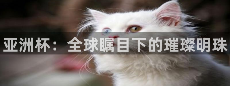 易游商城安卓版下载：亚洲杯：全球瞩目下的璀璨明珠